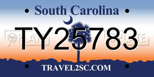 TY25783 South Carolina License Plate