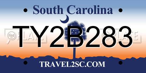 TY2B283 South Carolina License Plate