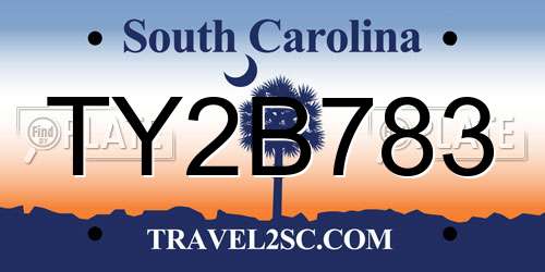 TY2B783 South Carolina License Plate