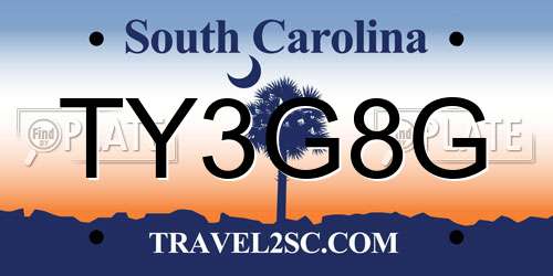 TY3G8G South Carolina License Plate