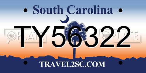 TY56322 South Carolina License Plate