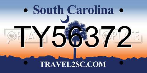 TY56372 South Carolina License Plate
