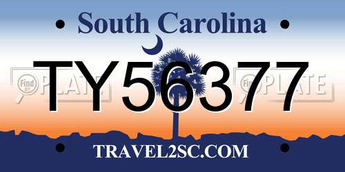 TY56377 South Carolina License Plate