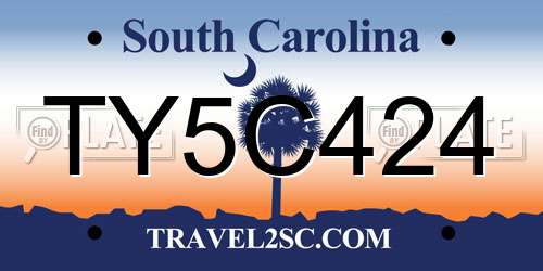 TY5C424 South Carolina License Plate