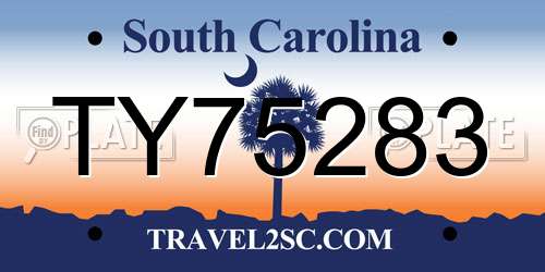TY75283 South Carolina License Plate