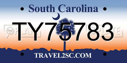 TY75783 South Carolina License Plate