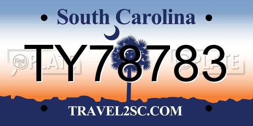 TY78783 South Carolina License Plate