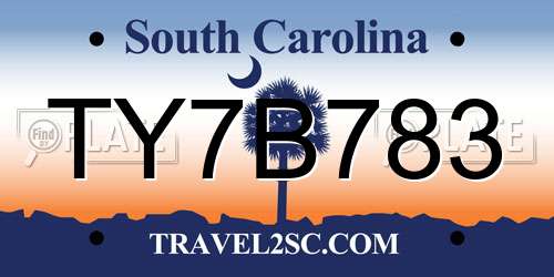 TY7B783 South Carolina License Plate