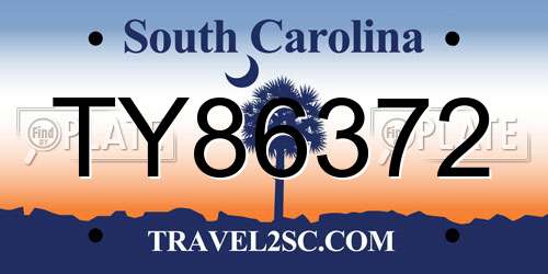 TY86372 South Carolina License Plate