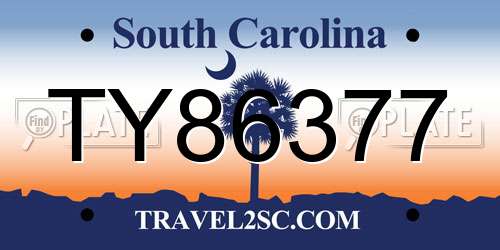 TY86377 South Carolina License Plate