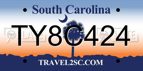 TY8C424 South Carolina License Plate