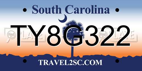 TY8G322 South Carolina License Plate