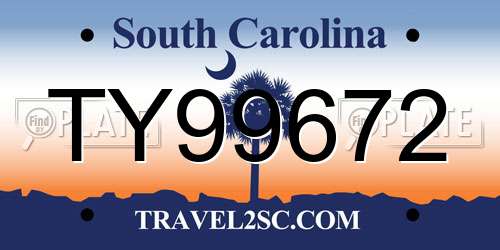 TY99672 South Carolina License Plate