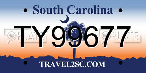 TY99677 South Carolina License Plate