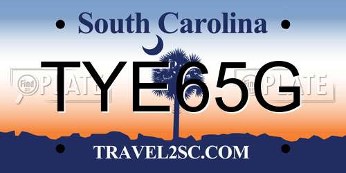 TYE65G South Carolina License Plate