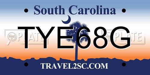 TYE68G South Carolina License Plate