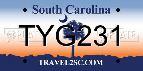 TYG231 South Carolina License Plate
