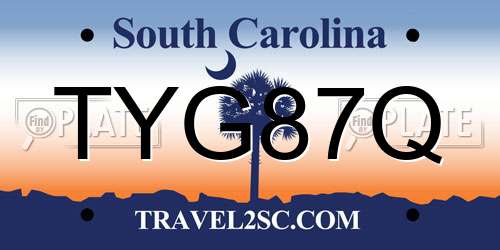 TYG87Q South Carolina License Plate