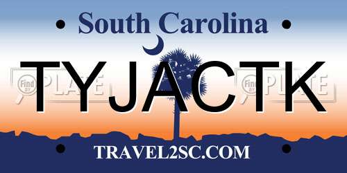 TYJACTK South Carolina License Plate