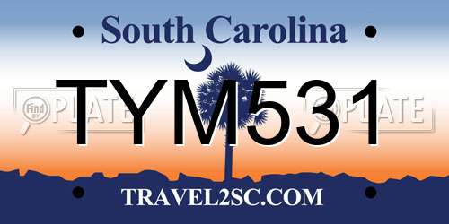 TYM531 South Carolina License Plate