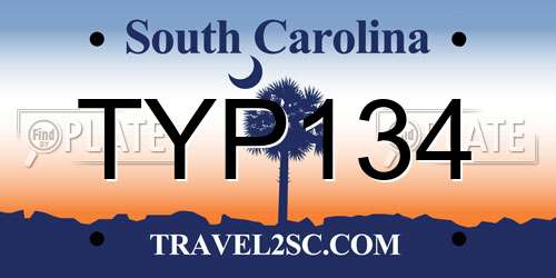 TYP134 South Carolina License Plate