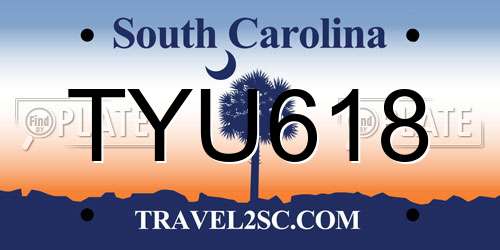 TYU618 South Carolina License Plate