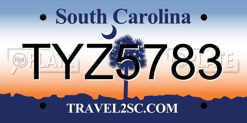 TYZ5783 South Carolina License Plate