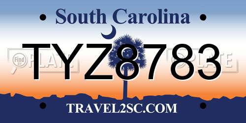 TYZ8783 South Carolina License Plate