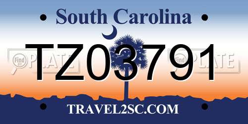 TZ03791 South Carolina License Plate