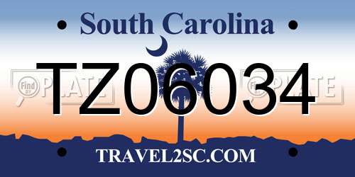TZ06034 South Carolina License Plate