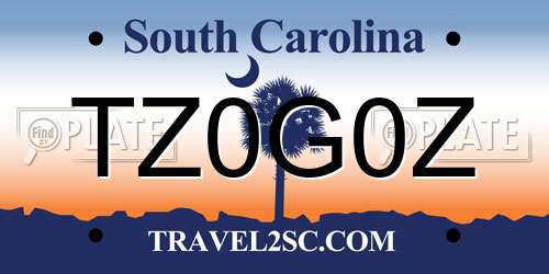 TZ0G0Z South Carolina License Plate