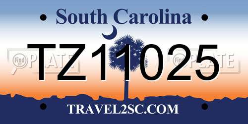 TZ11025 South Carolina License Plate