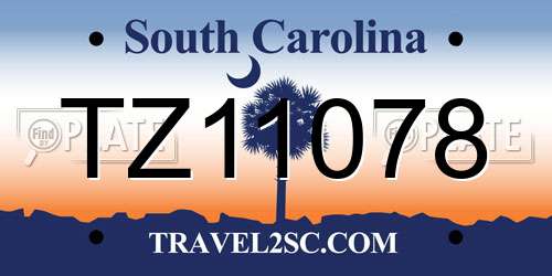 TZ11078 South Carolina License Plate