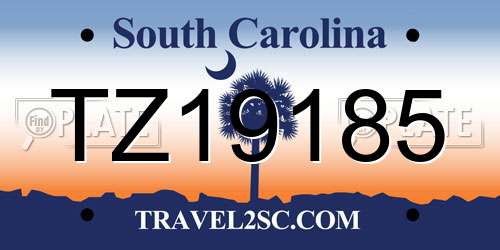 TZ19185 South Carolina License Plate