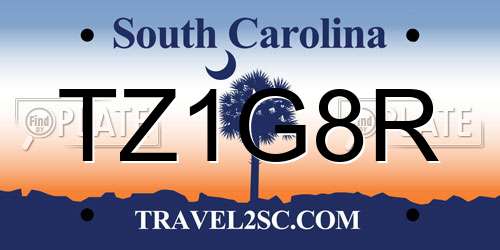 TZ1G8R South Carolina License Plate