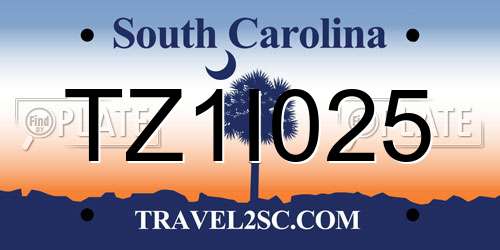 TZ1I025 South Carolina License Plate