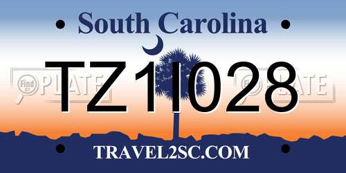 TZ1I028 South Carolina License Plate