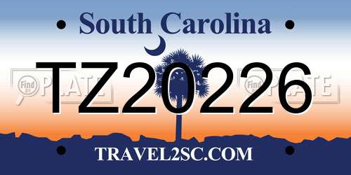 TZ20226 South Carolina License Plate