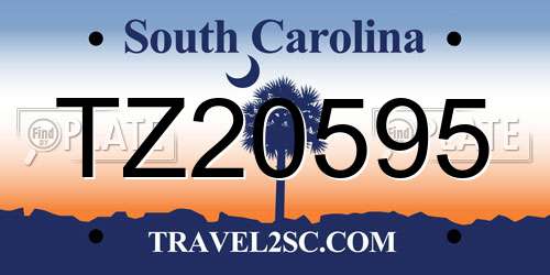 TZ20595 South Carolina License Plate