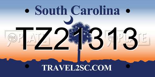 TZ21313 South Carolina License Plate