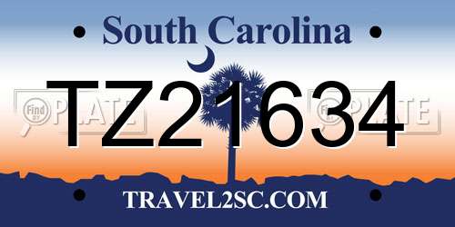 TZ21634 South Carolina License Plate