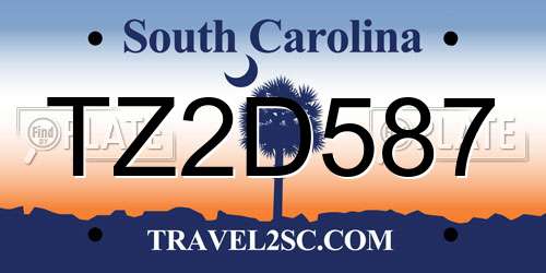 TZ2D587 South Carolina License Plate