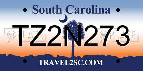 TZ2N273 South Carolina License Plate