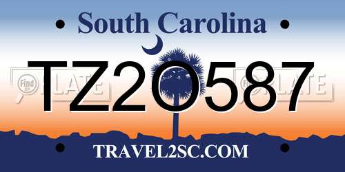 TZ2O587 South Carolina License Plate