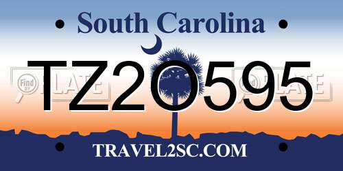 TZ2O595 South Carolina License Plate