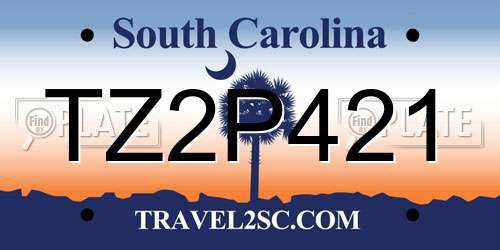 TZ2P421 South Carolina License Plate