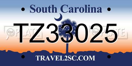 TZ33025 South Carolina License Plate