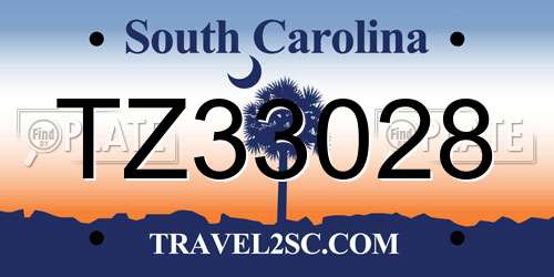 TZ33028 South Carolina License Plate