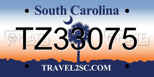TZ33075 South Carolina License Plate