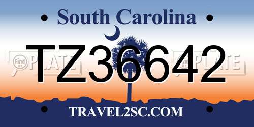 TZ36642 South Carolina License Plate